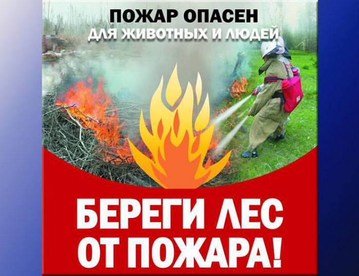 Прокуратура Устиновского района г. Ижевска разъясняет правила пожарной безопасности в лесах.